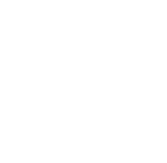 EYZ logotype white